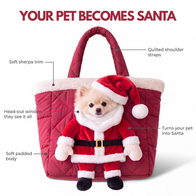 Pawliday Santa Pet Carrier