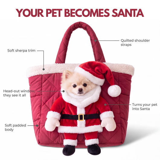 Pawliday Santa Pet Carrier