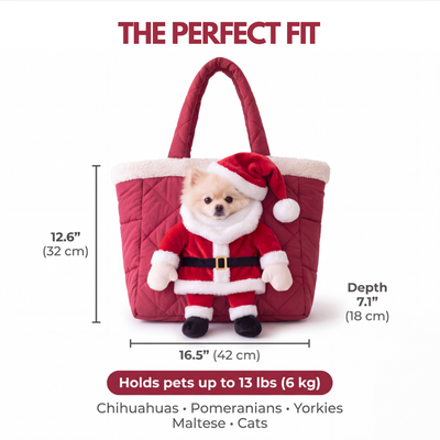 Pawliday Santa Pet Carrier