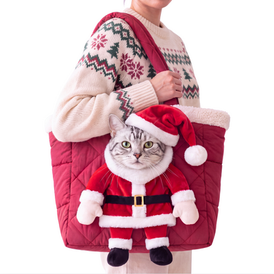 Pawliday Santa Pet Carrier