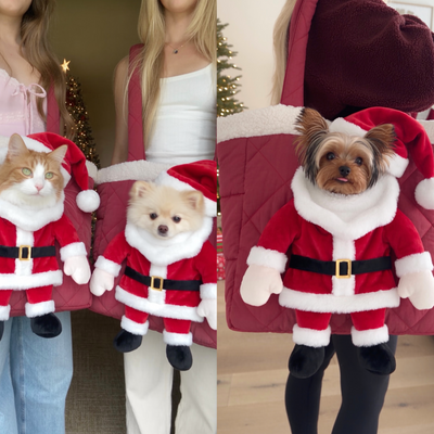 Pawliday Santa Pet Carrier